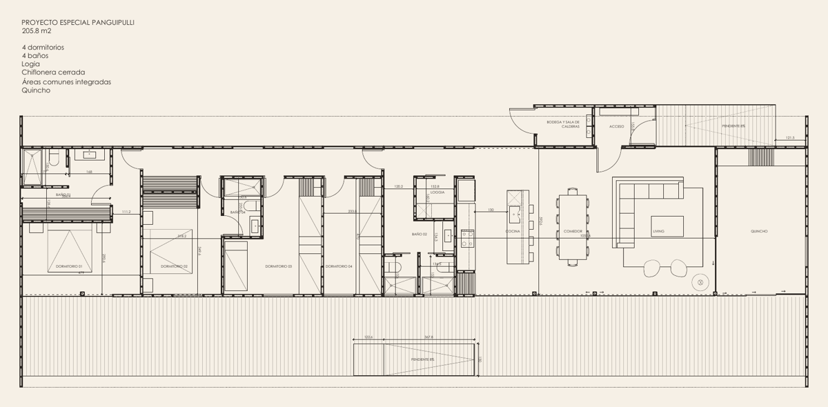 Planta de arquitectura del proyecto especial Panguipulli
